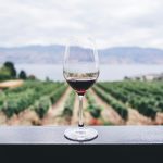 La cultura del vino italiano: tra sfide e rinascita