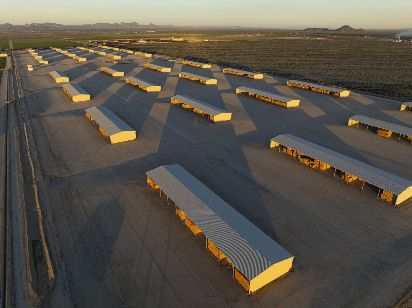 Strutture di stoccaggio dell'erba medica presso l'azienda agricola Fondomonte a Vicksburg, Arizona.