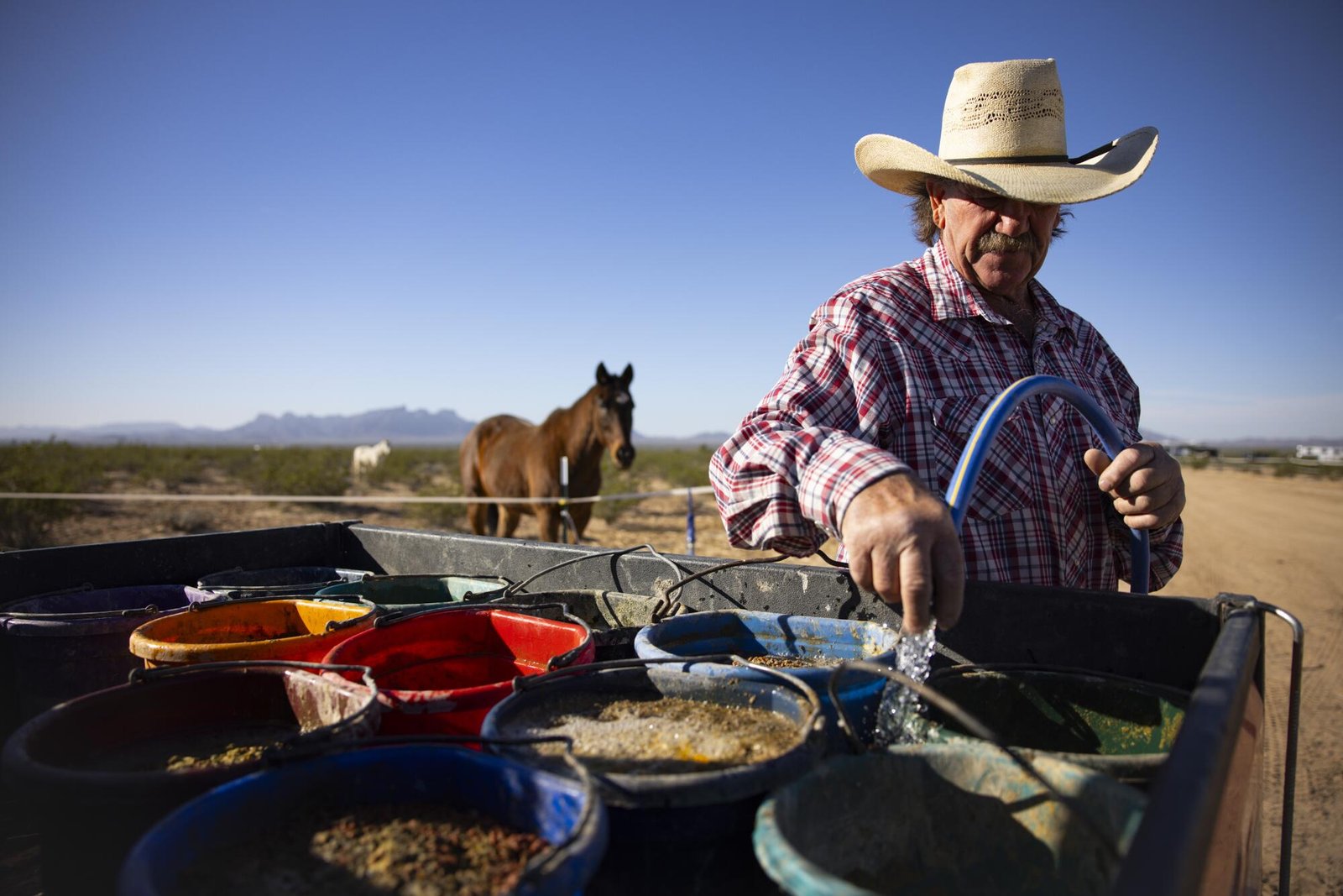 Larry Housley pompa l'acqua nei secchi per i cavalli nel suo ranch vicino a Bouse, in Arizona.