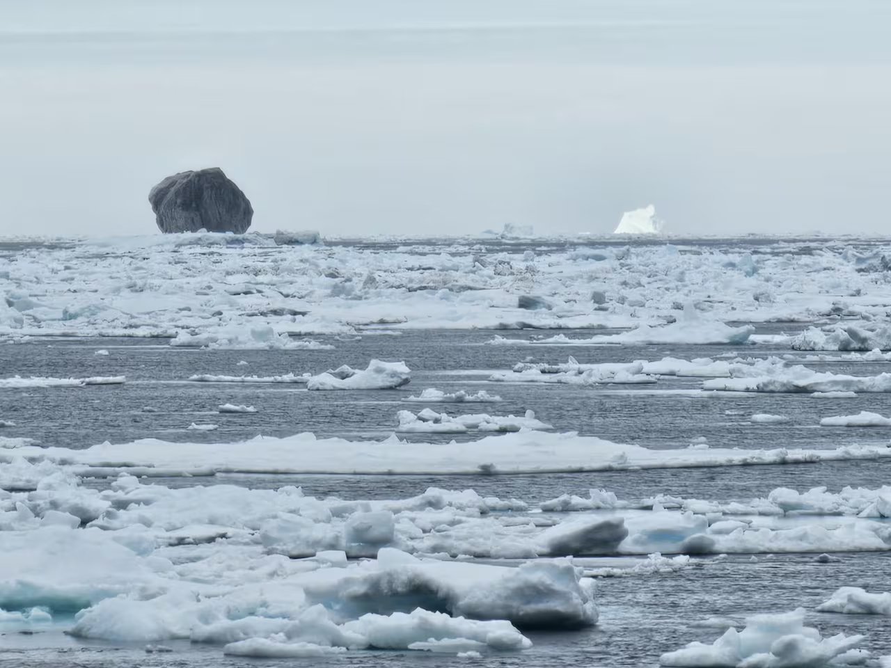 Un iceberg nero a forma di diamante galleggia in lontananza circondato da altri iceberg e pezzi di ghiaccio galleggianti.  