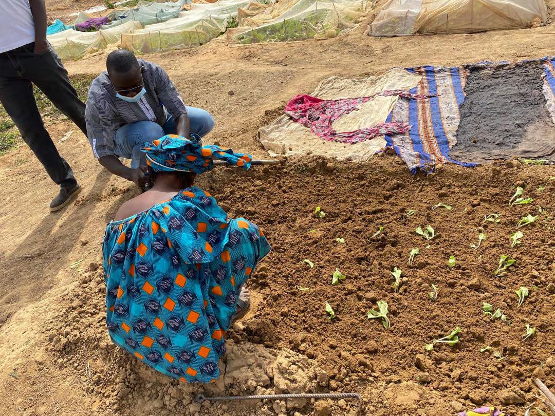 Due contadini si chinano sul terreno asciutto e usano i vestiti vicini per coprire il terreno.