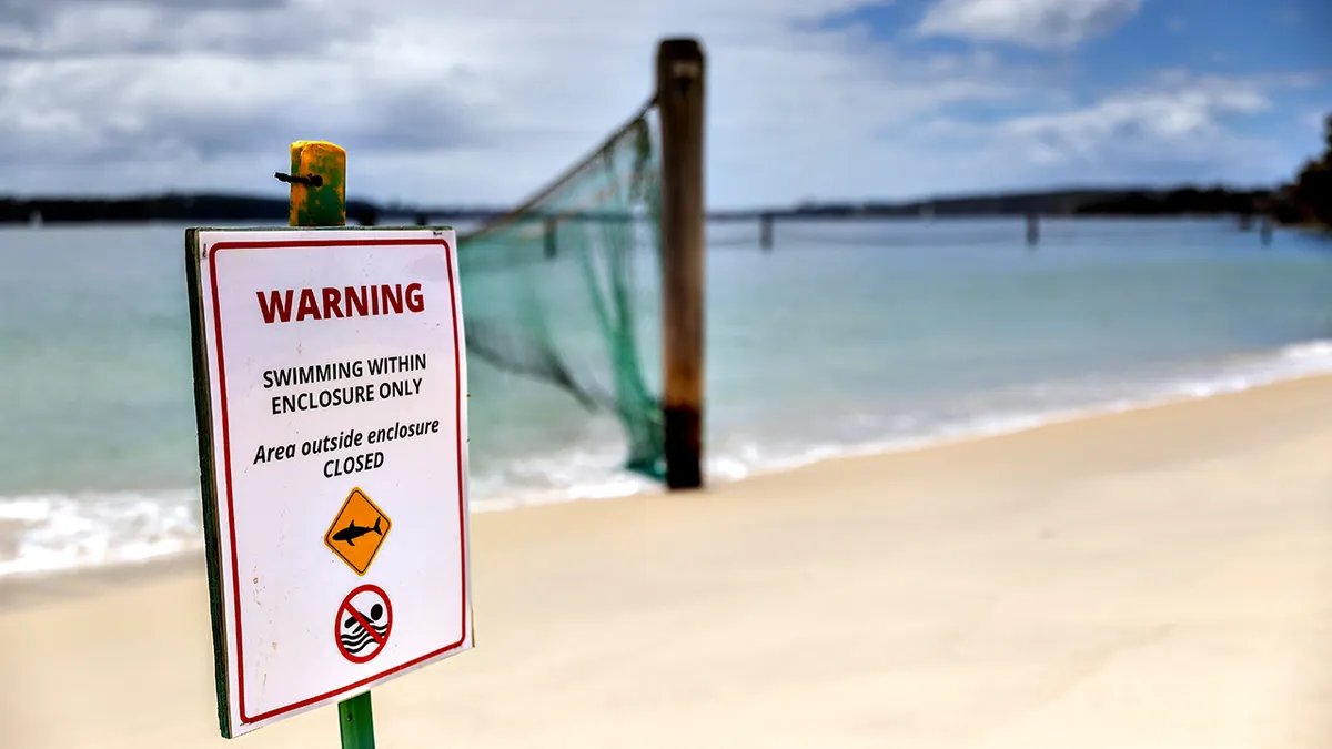 Rete anti-squalo del porto di Sydney sulla spiaggia
