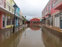 I Paesi Bassi devono ridurre l’anidride carbonica per proteggere l’isola caraibica di Bonaire, secondo le regole del tribunale