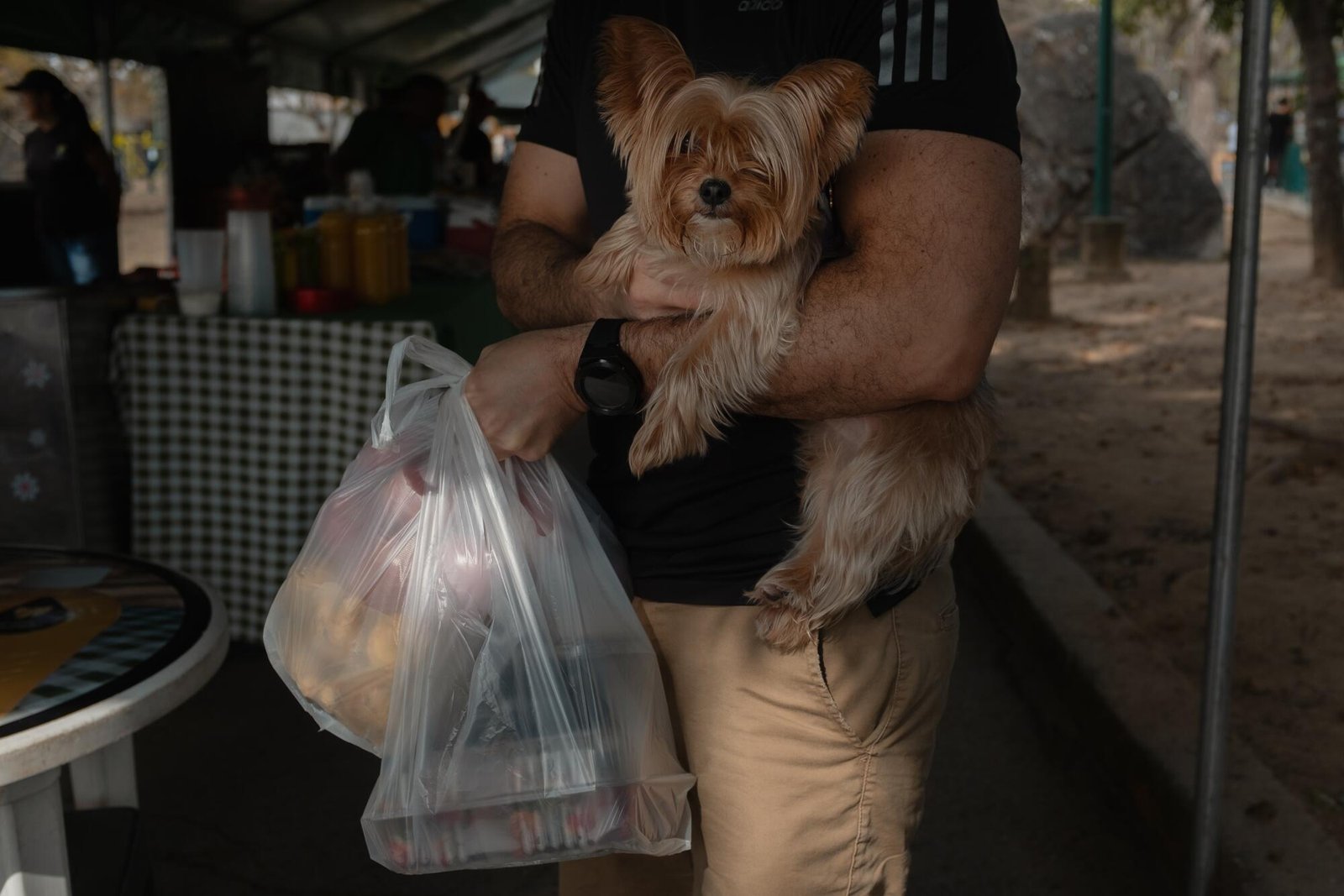 Un uomo con una camicia scura tiene in mano dei sacchetti di plastica trasparenti e un cane 