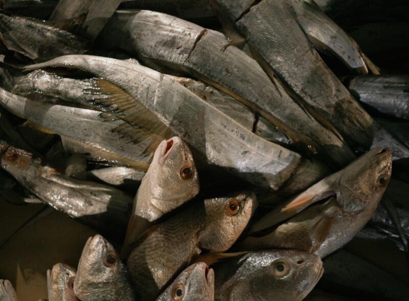 Ci sono diversi tipi di pesce a Juan Carlos Hernandez a Caracas.