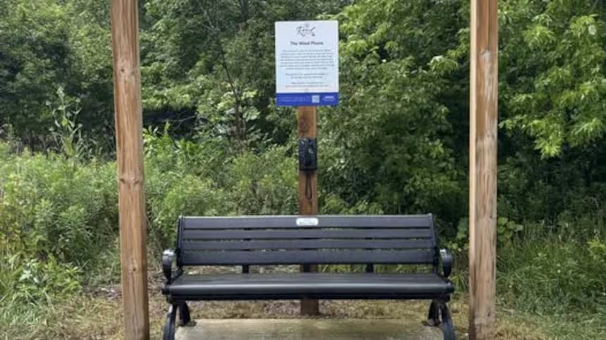 Una panchina con una foresta e un telefono dietro