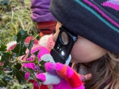 Gli escursionisti avvistano centinaia di fiori che sbocciano il 1° gennaio nel Regno Unito