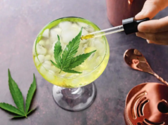 Lo studio ha scoperto che le bevande a base di cannabis possono aiutare le persone a ridurre il consumo di alcol