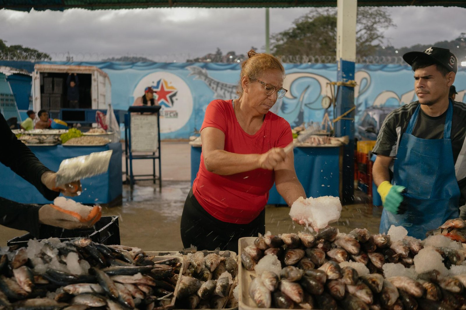 Una donna con gli occhiali, una camicia rossa e pantaloni scuri, trita il ghiaccio sui pesci esposti sui vassoi