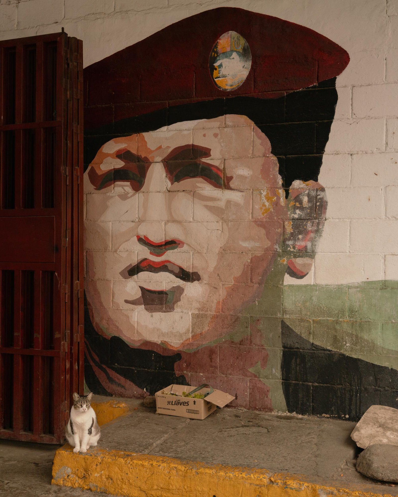 Murale di un uomo con i capelli scuri e che indossa un cappello militare rosso