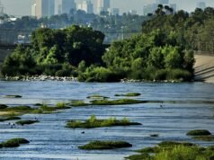 Collaboratore: Los Angeles sta demolendo 1.600 acri di pavimentazione, ma è troppo poco e troppo tardi?