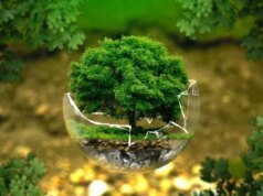 Con le coste sempre più fragili, l’Indonesia è in prima linea nella crisi di sostenibilità