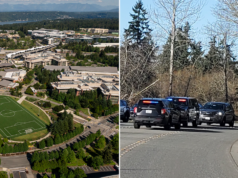 Donna accoltellata a caso lungo un sentiero a Seattle Aspettatevi un gruppo numeroso