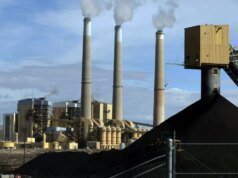 Felce della tempesta invernale: il carbone aiuta ad alimentare la rete energetica durante una tempesta mortale