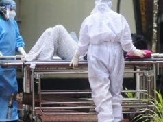 Gli aeroporti emanano misure in stile Covid. Virus del pipistrello horror Ha un tasso di mortalità del 75% | Mondo | Notizia