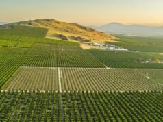 Gli scienziati delle Nazioni Unite avvertono che il mondo sta entrando in un’era di “bancarotta idrica” globale.