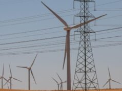 I titoli dell’energia verde salgono nonostante le politiche di Trump