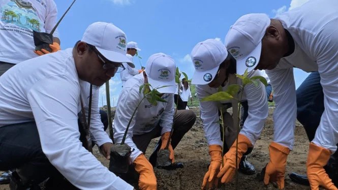 Il PNM pianta 374mila alberi e si impegna a sostenere
