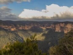 Il corpo di un adolescente trovato nel parco nazionale dopo il campeggio | Mondo | Notizia