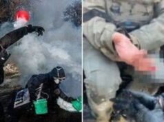 Il manifestante dell’ICE “morde” il dito dell’ufficiale dopo una sparatoria mortale | Stati Uniti | Notizia