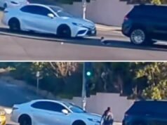 Il video scioccante mostra un bambino gettato dall’auto in un trafficato incrocio di SoCal; Madre arrestata