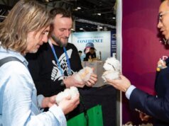 Joobie: il tuo compagno AI interattivo e alla moda per ogni momento