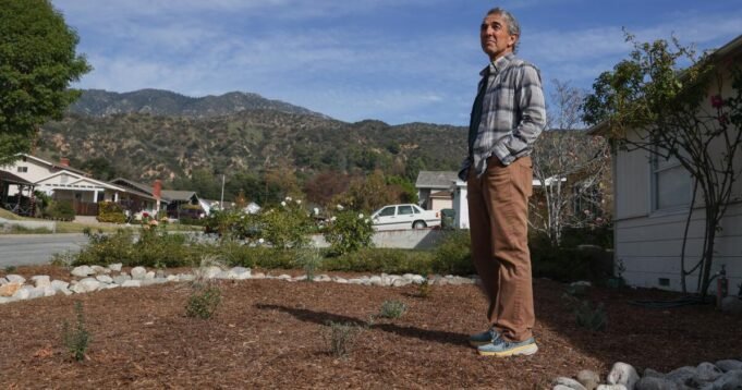 La lezione più importante dalla sostituzione del tappeto erboso fai-da-te