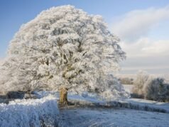 La mappa della neve mostra 21 aree del Regno Unito profondamente sepolte. Mentre una bufera di neve alta 89 cm colpisce l’Inghilterra | Tempo | Notizia