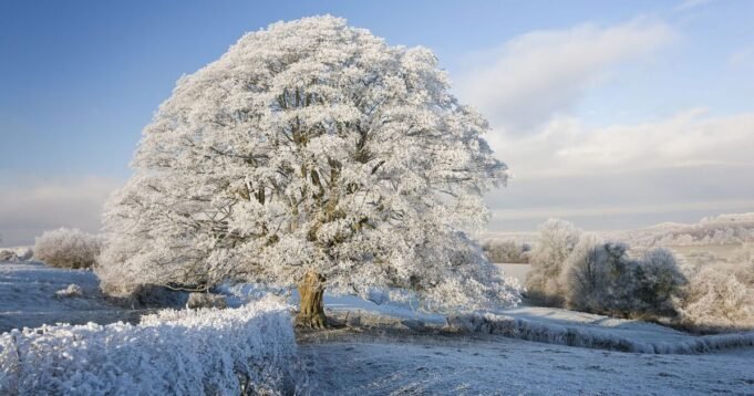 La mappa della neve mostra 21 aree del Regno Unito