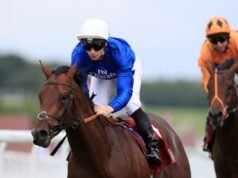 L’incidente agli occhi del ciclista evidenzia l’importanza degli occhiali di sicurezza