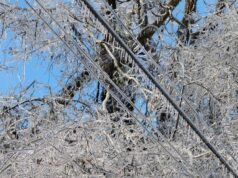 Perché le interruzioni di corrente causano più danni economici di quanto pensiamo