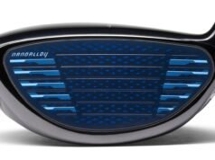 Potrebbe essere questo il nuovo driver nella tua borsa?