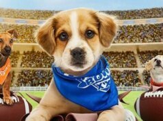 Puppy Bowl 2026: come guardare e trasmettere in streaming il Furry Showdown