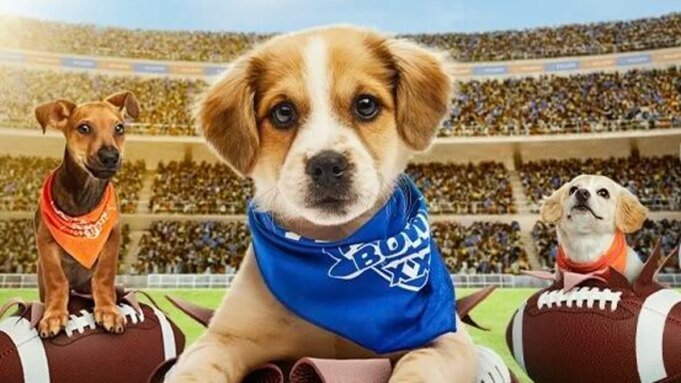 Puppy Bowl 2026: come guardare e trasmettere in streaming il