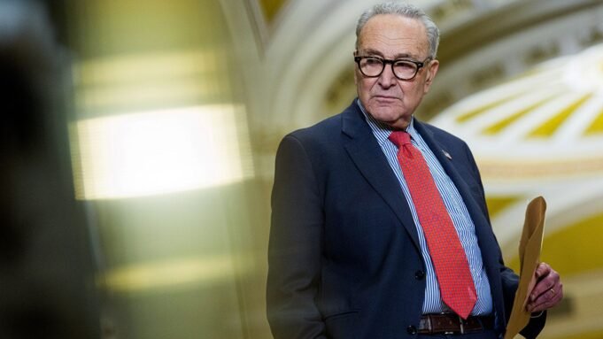 Schumer si impegna a ripristinare i tagli ai finanziamenti DOGE