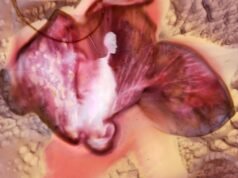 Trovare speranza nella bellezza quotidiana mentre invecchi e provi il dolore