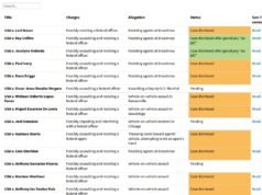 Tutti i procedimenti giudiziari federali conosciuti a Chicago sono legati al blitz sull’immigrazione di Trump