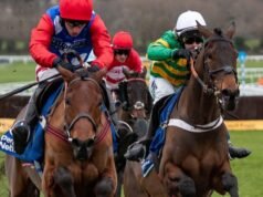 Tutto quello che devi sapere sul Festival di Cheltenham 2026