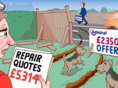 Un furgone urta il mio recinto e si ribalta, ma la compagnia assicurativa del conducente non paga l’intero importo di £ 5.314: Sally risolve la cosa