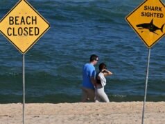 Un ragazzo di 13 anni è stato ucciso da uno squalo. Brutale attacco a Turis | Mondo | Notizia