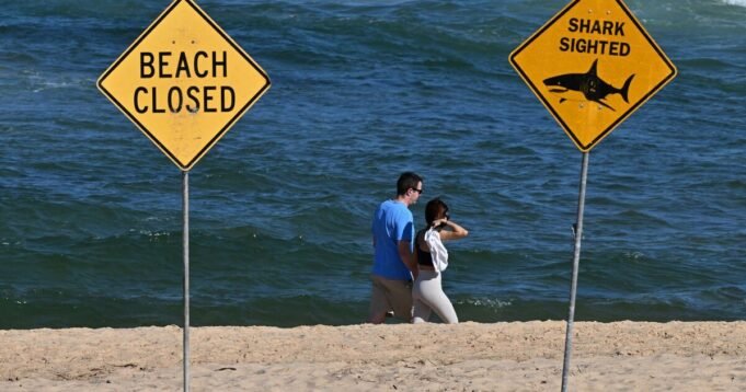 Un ragazzo di 13 anni è stato ucciso da uno