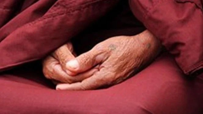 Va bene esprimere il desiderio biologico attraverso le videochiamate? Questa