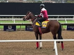 Yahagi crede che Forever Young sia pronto per una battaglia classica