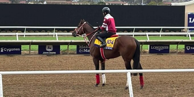 Yahagi crede che Forever Young sia pronto per una battaglia