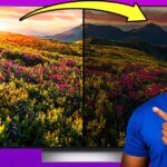 Hai chiesto: dalla luminosità accecante agli OLED sbiaditi